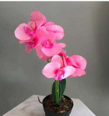 Cherry ( Merritt), 27 Asian female escort, Kamloops